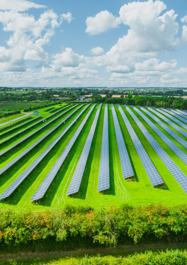 Infra - Renewables